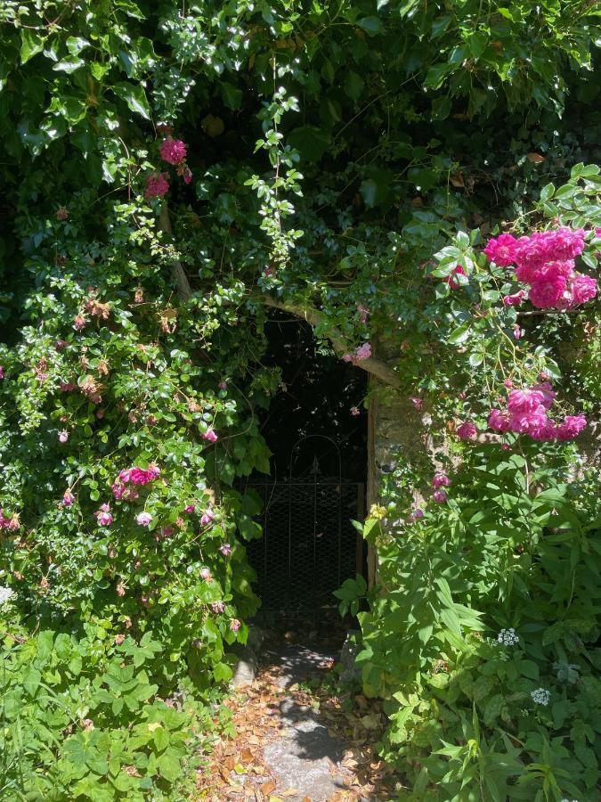 דורצ'סטר Trinity Lodge Annexe מראה חיצוני תמונה